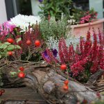 Grünwerkstatt Herbstblumen